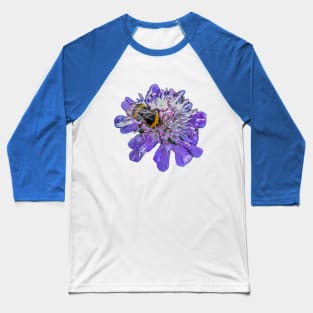 Bumblebee on a Scabious flower Baseball T-Shirt